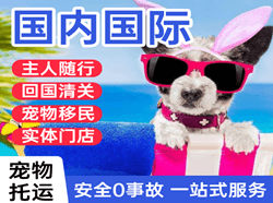 拉萨航空托运国际宠物托运 【国